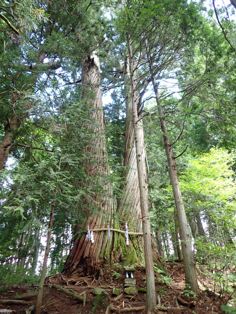 GL1200サイドカー 25 1/4 善光寺 戸隠神社_a0339187_14003512.jpg