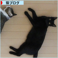 3色せいぞろい_a0389088_18422204.jpg