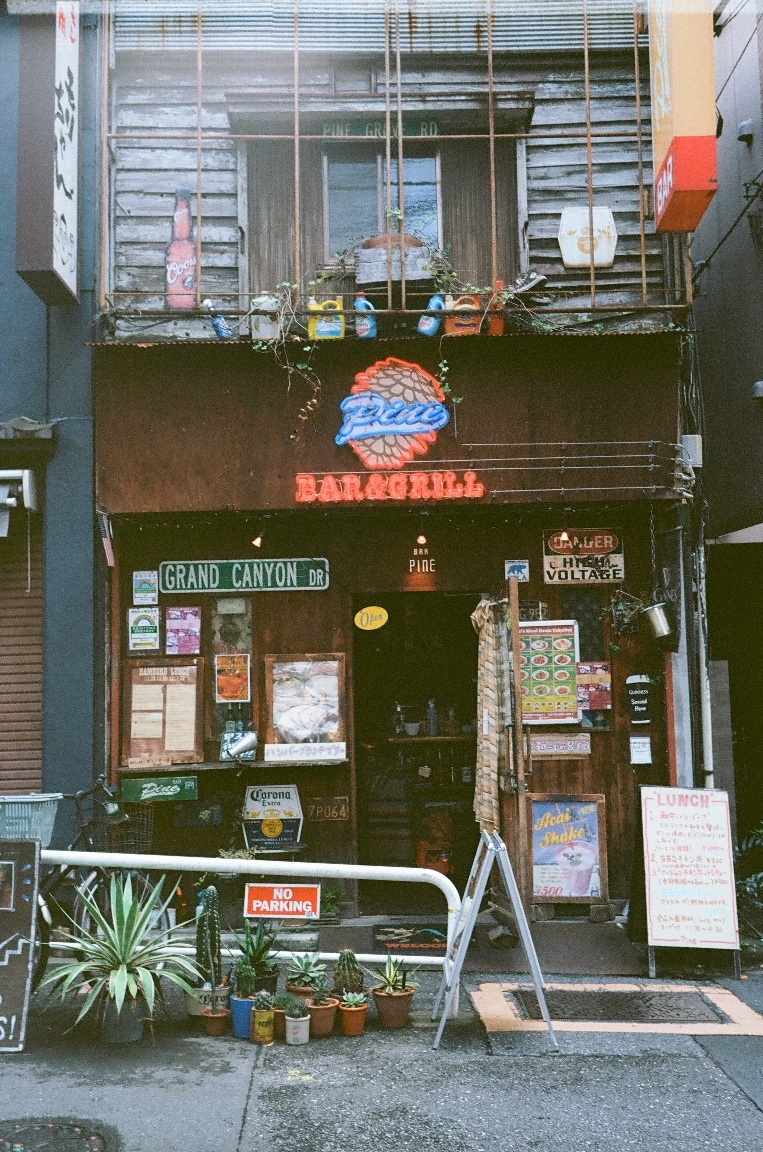 駄カメラの季節#1_e0025893_14441746.jpg