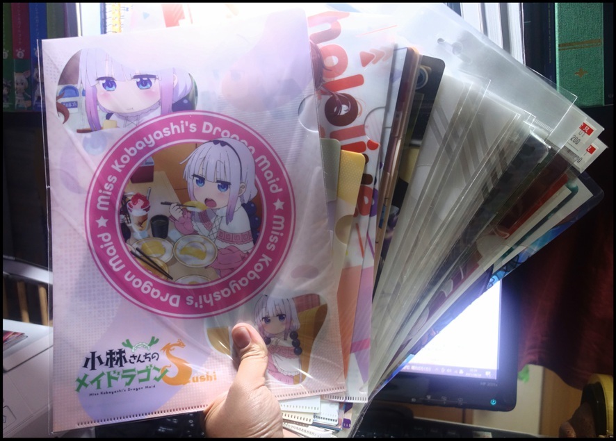 【ただの雑記】そろそろクリアファイルちゃんとホルダーしよう_f0205396_20503908.jpg