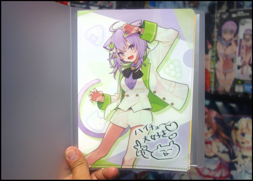 【ただの雑記】そろそろクリアファイルちゃんとホルダーしよう_f0205396_20504946.jpg