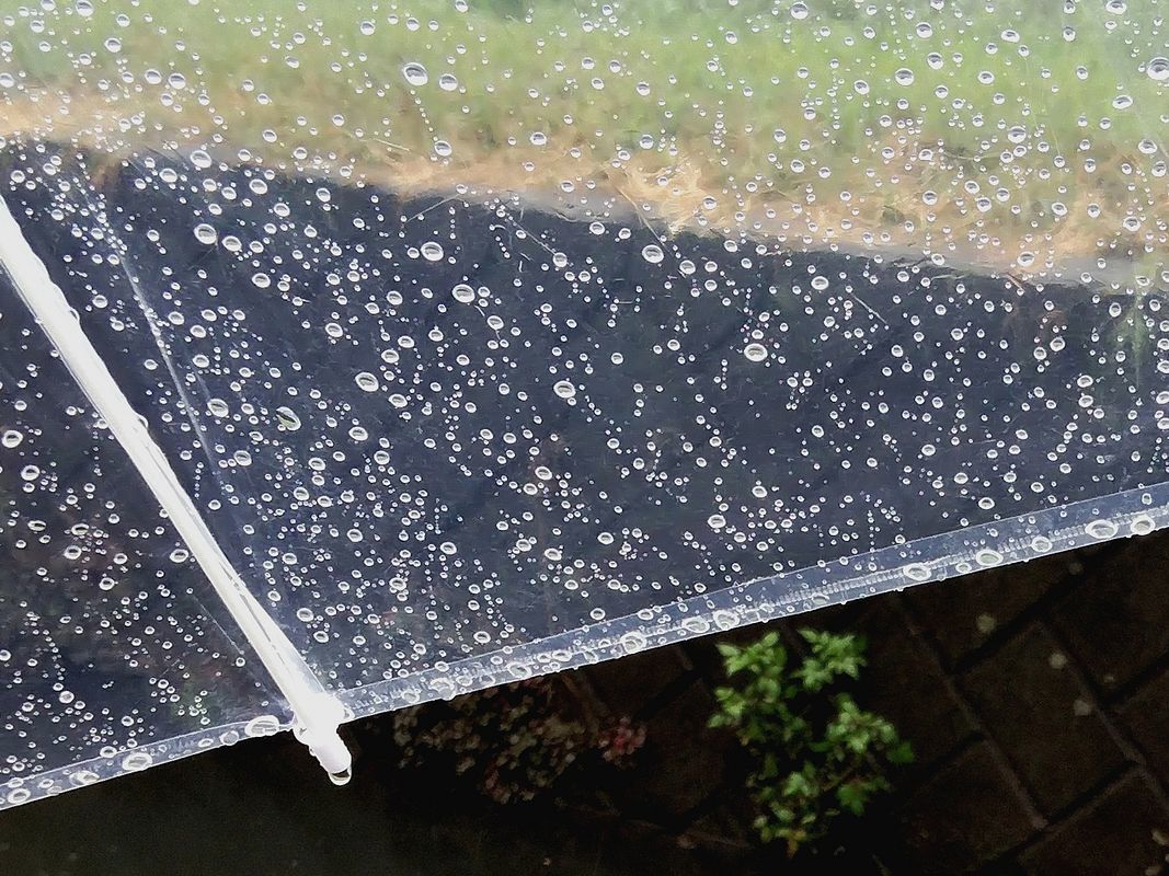 雨に降り込められて遠出は不可・・・じゃあ近場で! 雨を味方にスマホで表現の幅を広げてみよう! ナンテ(^^;_a0031821_21583936.jpg