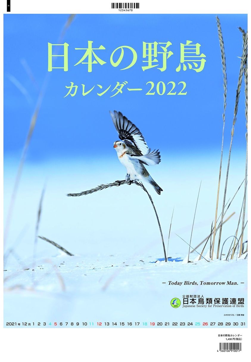 日本の野鳥カレンダー２０２２に採用されました_e0139623_08351134.jpg