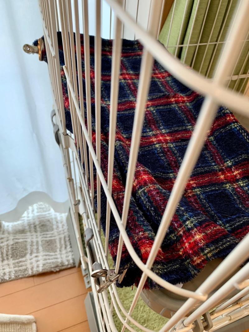 ねねこちゃん闘病記5「ゆる隔離部屋へんこう★」_d0118933_16462144.jpg