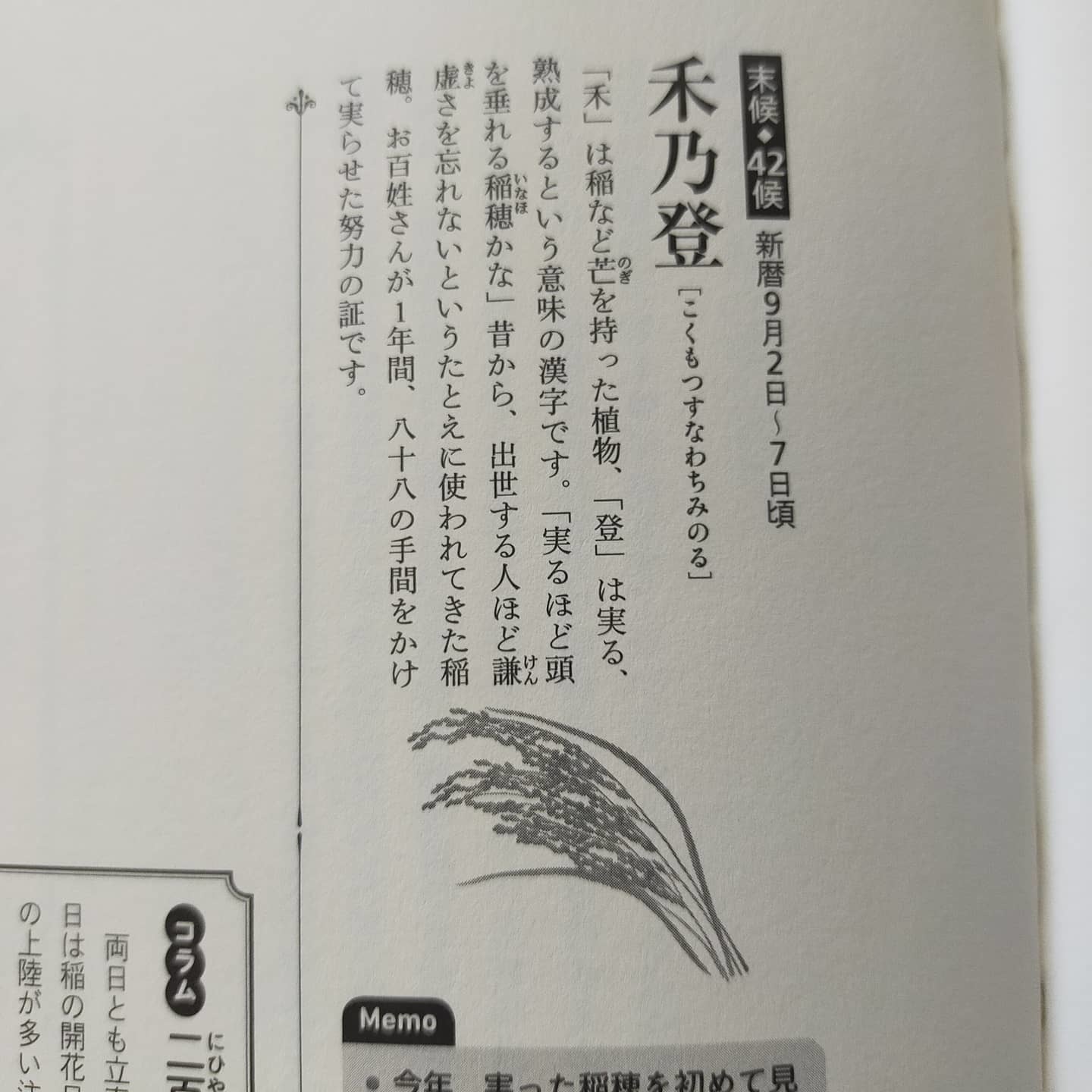 210902 七十二候四十二候「禾乃登(こくもつみのる)」_f0164842_13340565.jpg