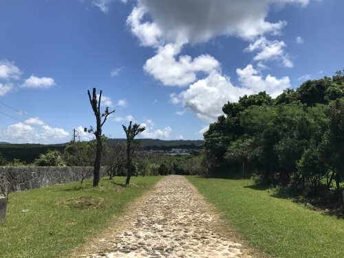 Kokko is gone._c0153966_20251778.jpeg