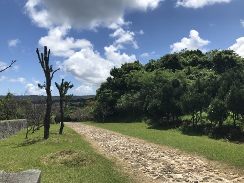 Kokko is gone._c0153966_20293852.jpeg