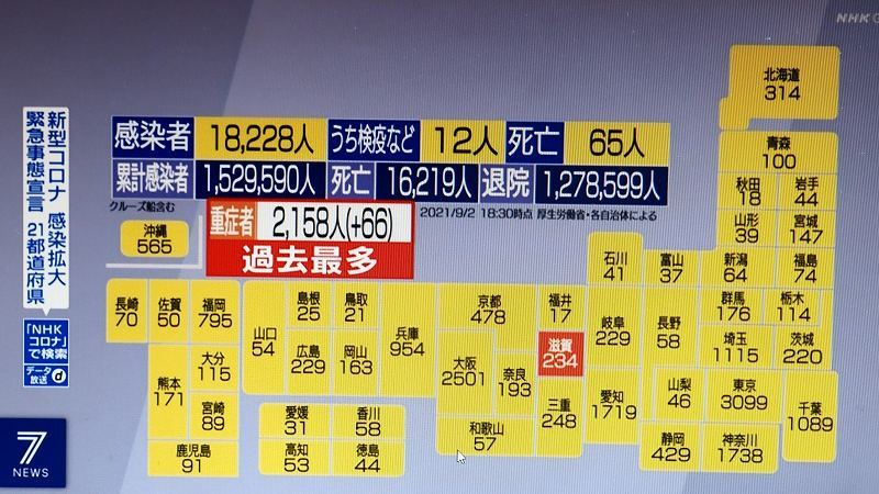 09/02     COVID-19    感染者全国18,228人・北海道314人    子供の感染　1ケ月前の2.6倍　　重症者⁺66人　21,581人_c0183777_21122021.jpg