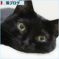 そばにいる命_a0389088_16095639.jpg