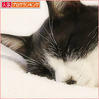 そばにいる命_a0389088_16095662.jpg