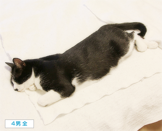 そばにいる命_a0389088_16095682.jpg