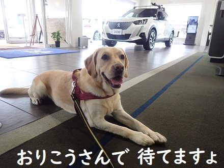 平和なドックラン。_c0182012_15101493.jpg