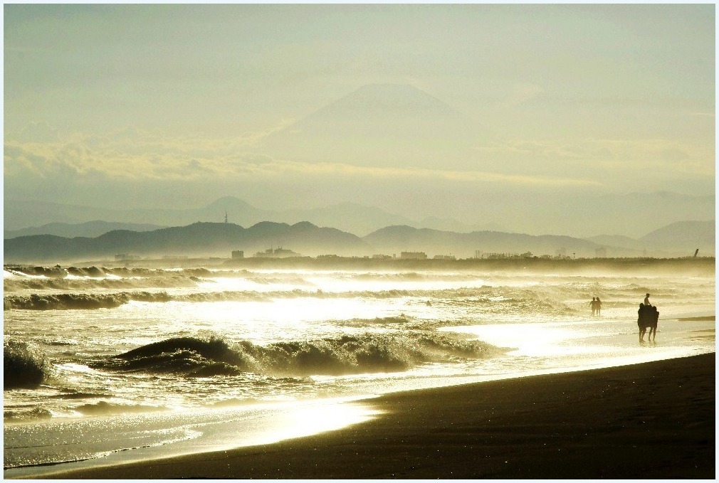 黄金色の海_c0352813_17421788.jpg