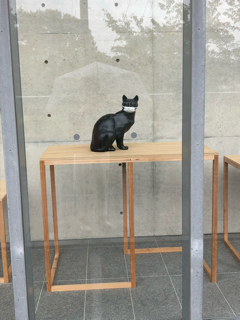 岩合光昭 こねこ展 尾道美術館_f0363168_19083861.png