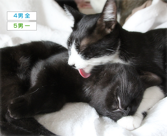 無理やりな兄弟愛_a0389088_16452505.jpg