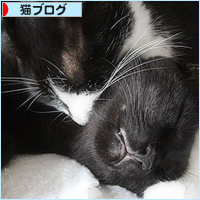 無理やりな兄弟愛_a0389088_16452508.jpg