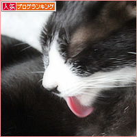 無理やりな兄弟愛_a0389088_16452696.jpg