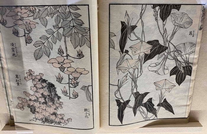 「北斎づくし」生誕260年特別展_a0169902_19083923.jpg