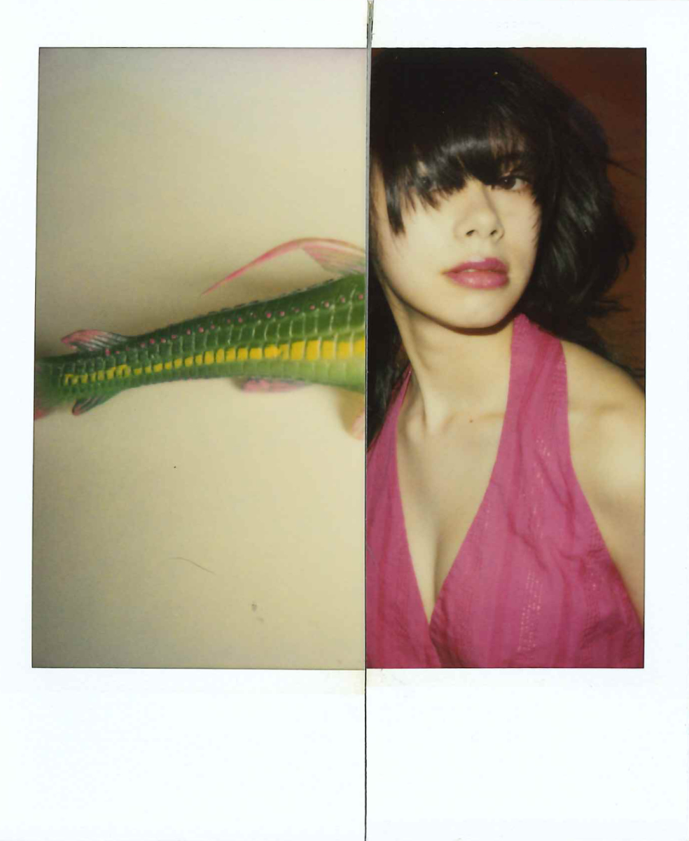 荒木経惟氏 展覧会 「Polaroids」_b0187229_15365725.jpg
