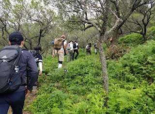 生存確認投稿_c0051529_17391046.jpg