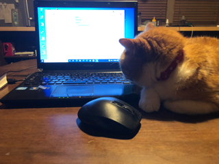 じゃまなんですが・・・・_f0363168_20542822.png