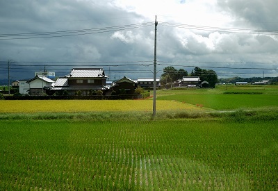 小泉進次郎はジャパンハンドラーのメッセンジャーとして動いていた？_c0243877_09351934.jpg