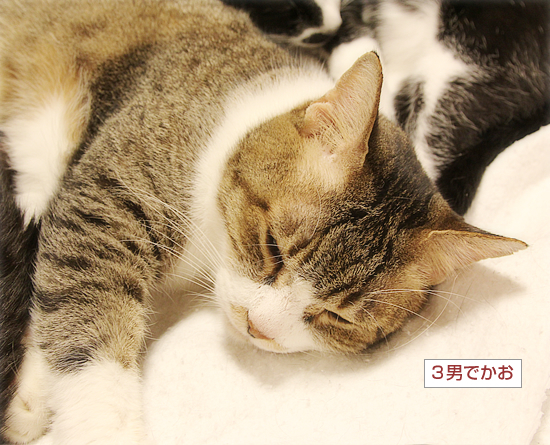 男子ーずの秘密_a0389088_18390228.jpg