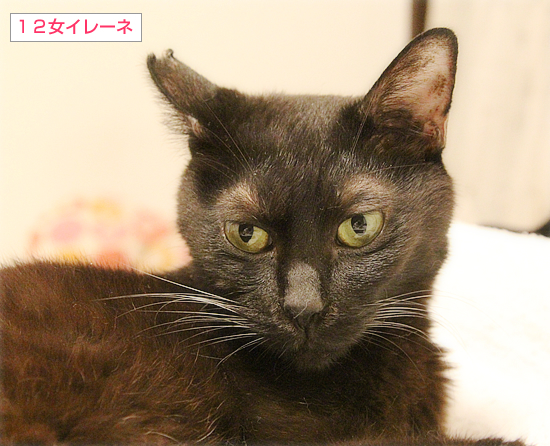 男子ーずの秘密_a0389088_18390258.jpg