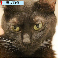 男子ーずの秘密_a0389088_18390345.jpg