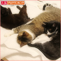 男子ーずの秘密_a0389088_18390395.jpg