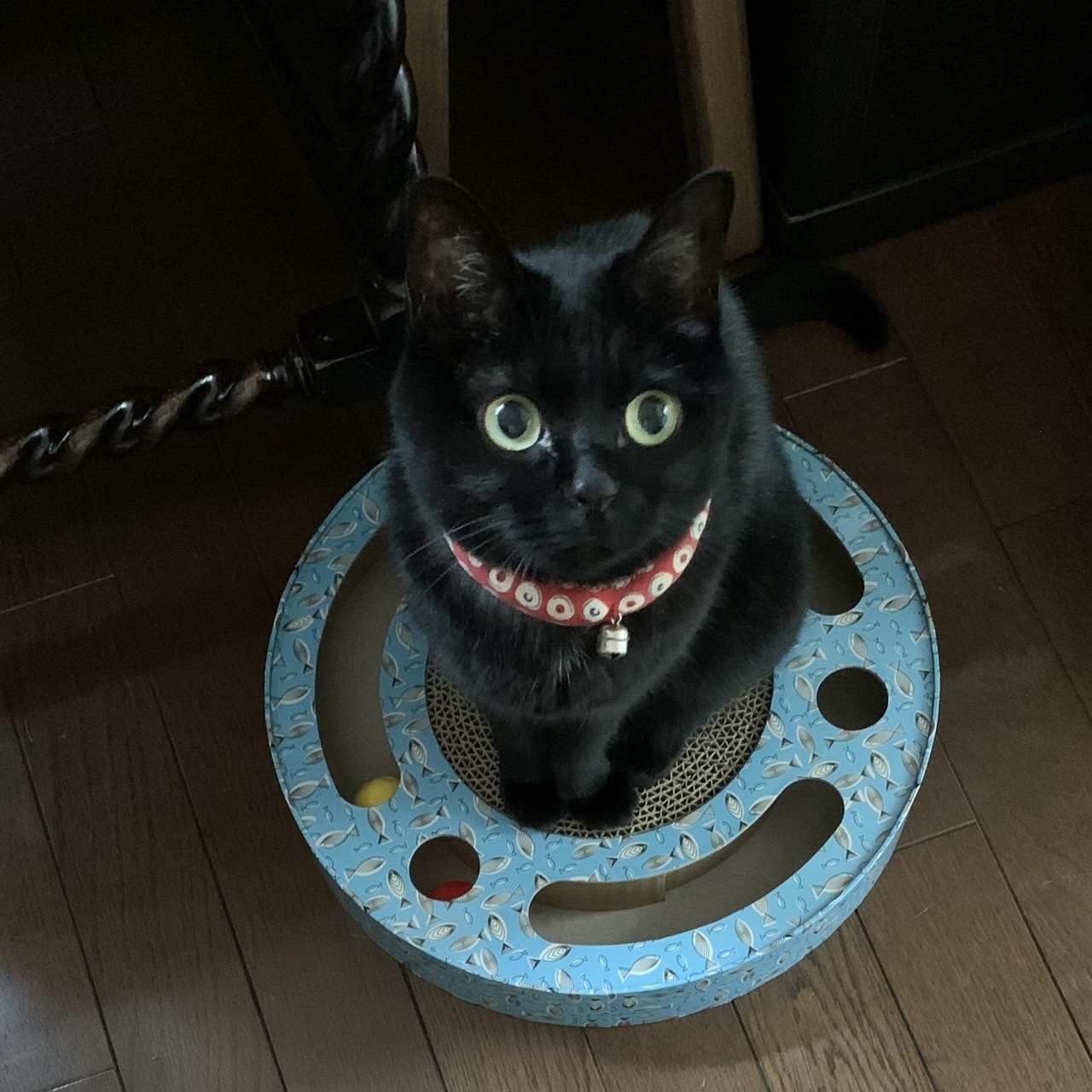 ステッチを入れる_e0358096_18284585.jpeg