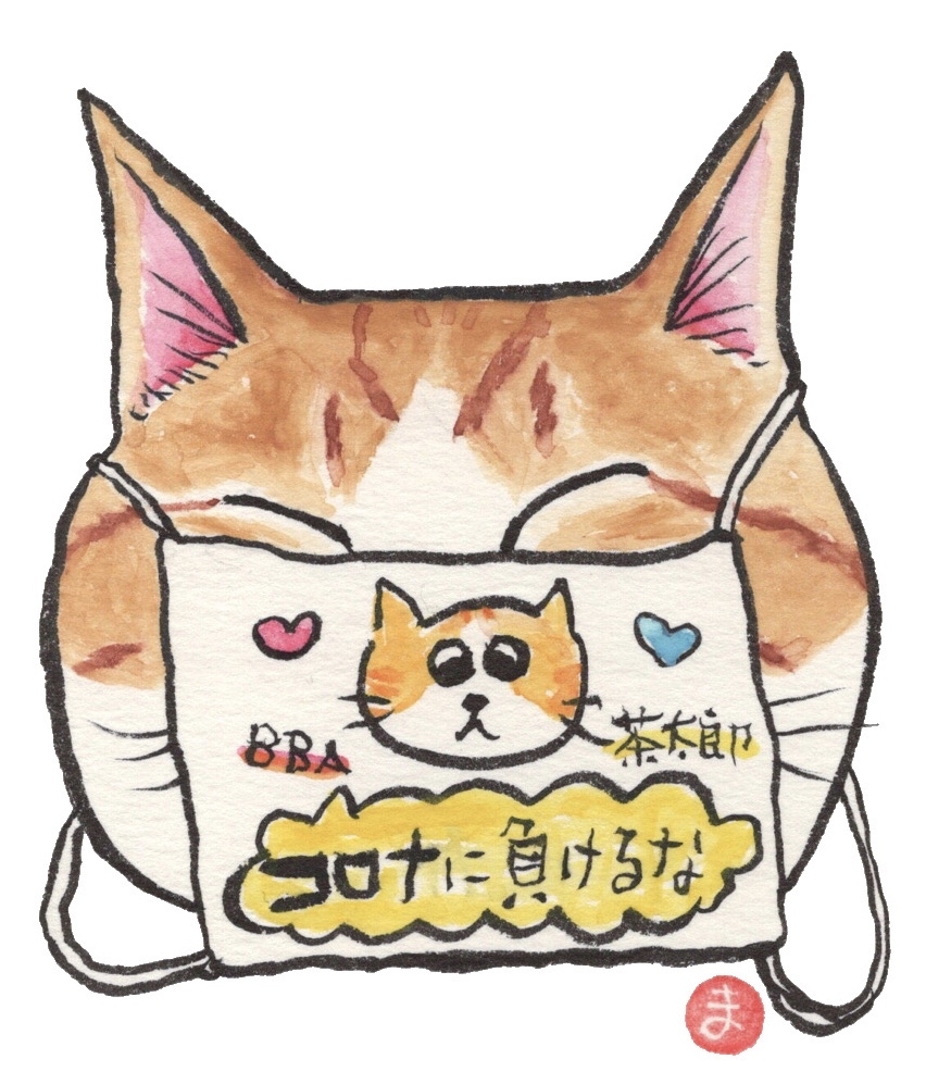 茶太郎くんと茶次郎くん マスク猫_f0375804_18352628.jpg