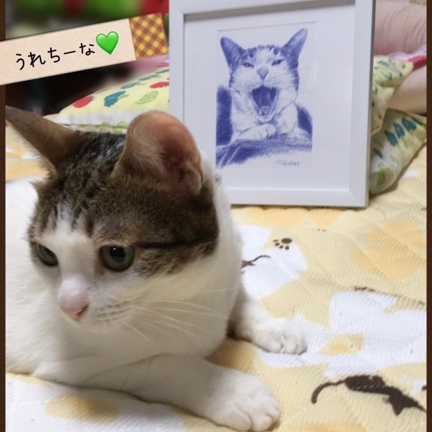茶太郎くんと茶次郎くん マスク猫_f0375804_18383403.jpg