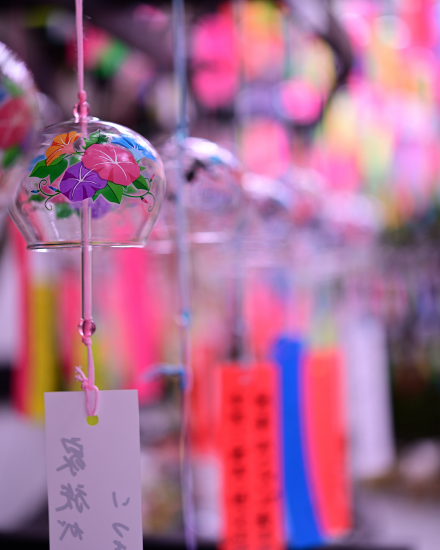 日本の夏の音_d0335768_19405631.jpg