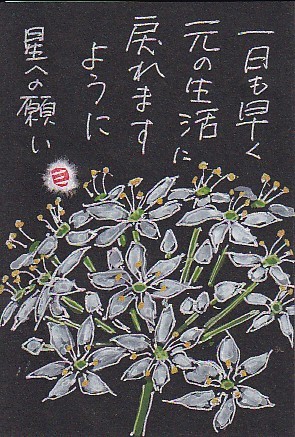 星への願い ニラの花 絵手紙の小窓