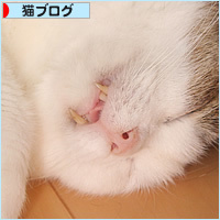 安心の素顔_a0389088_17374816.jpg
