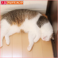 安心の素顔_a0389088_17374841.jpg