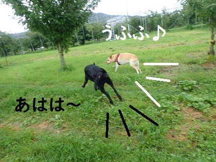 (悲報)帯状疱疹が出た～!!_c0182012_12244462.jpg