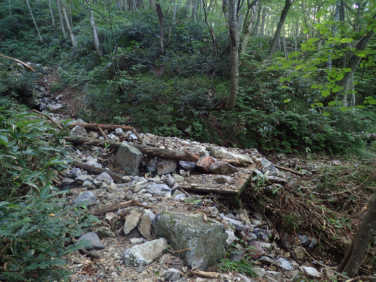 8月31日の大万木山①_f0214649_19170867.jpg