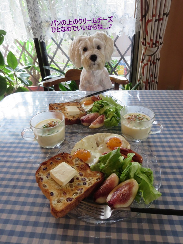 いちじくの季節♪_d0264176_16580744.jpg