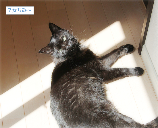 天然の床暖房_a0389088_17233138.jpg