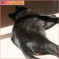 天然の床暖房_a0389088_17233207.jpg