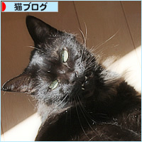 天然の床暖房_a0389088_17252791.jpg