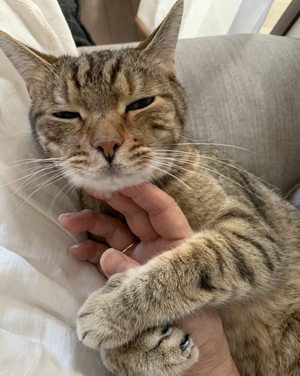 仲なおり_e0358096_19090318.jpeg