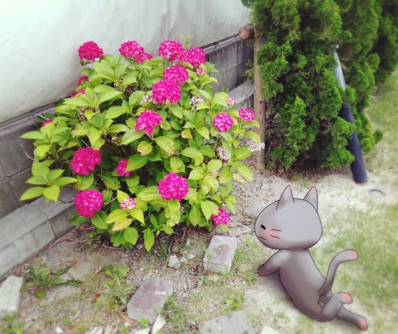 Twitter写真絵日記まとめ⑪_a0201203_14462604.jpg