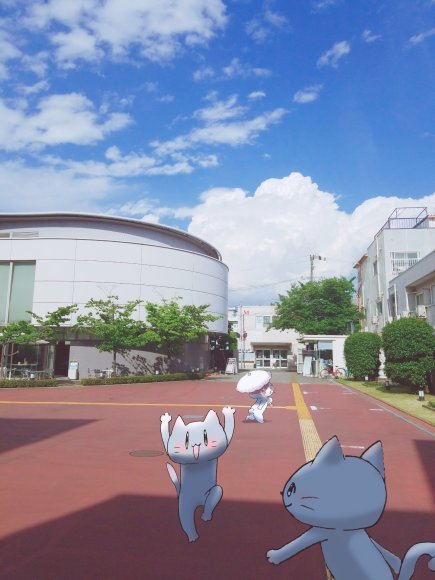 Twitter写真絵日記まとめ⑪_a0201203_15240744.jpg