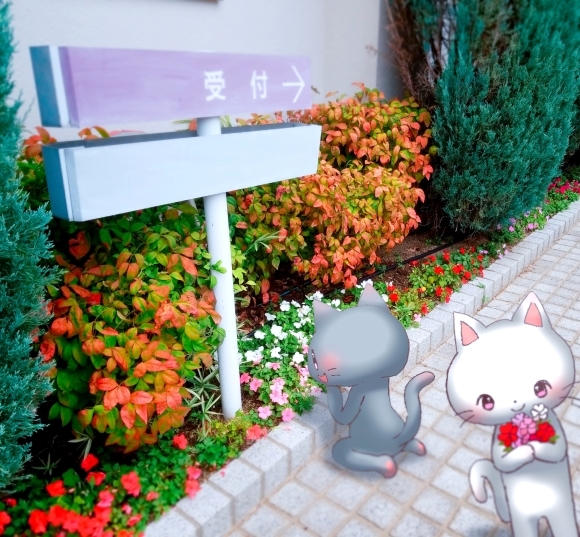 Twitter写真絵日記まとめ⑪_a0201203_15452897.jpg