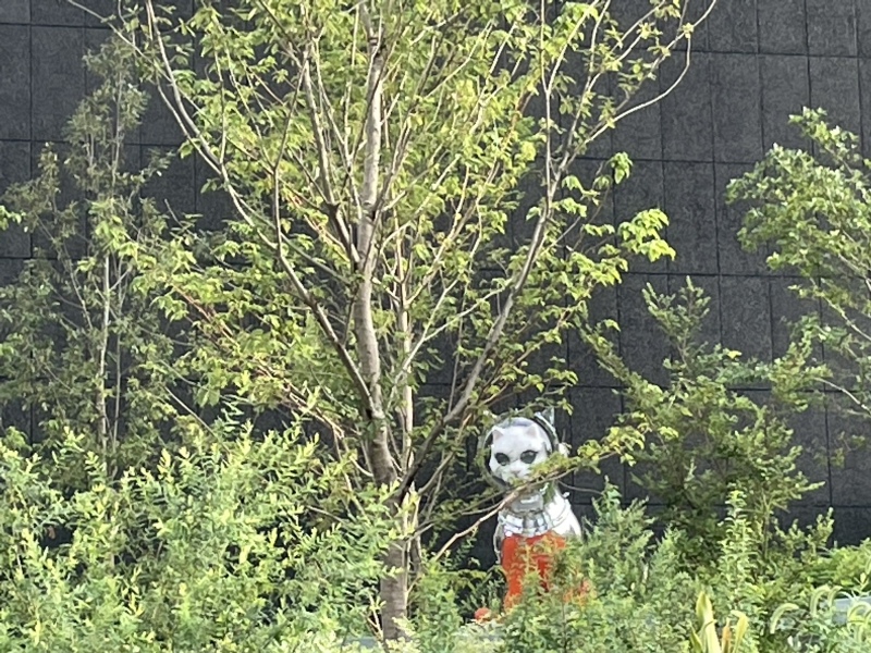 小さい秋みつけたかも NO.752_c0102513_17053617.jpeg