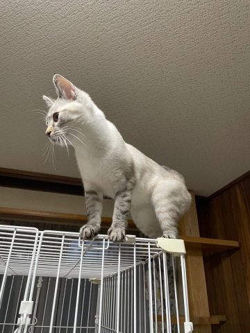 空のごはん_b0340621_15223726.jpeg