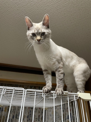 空のごはん_b0340621_15224233.jpeg